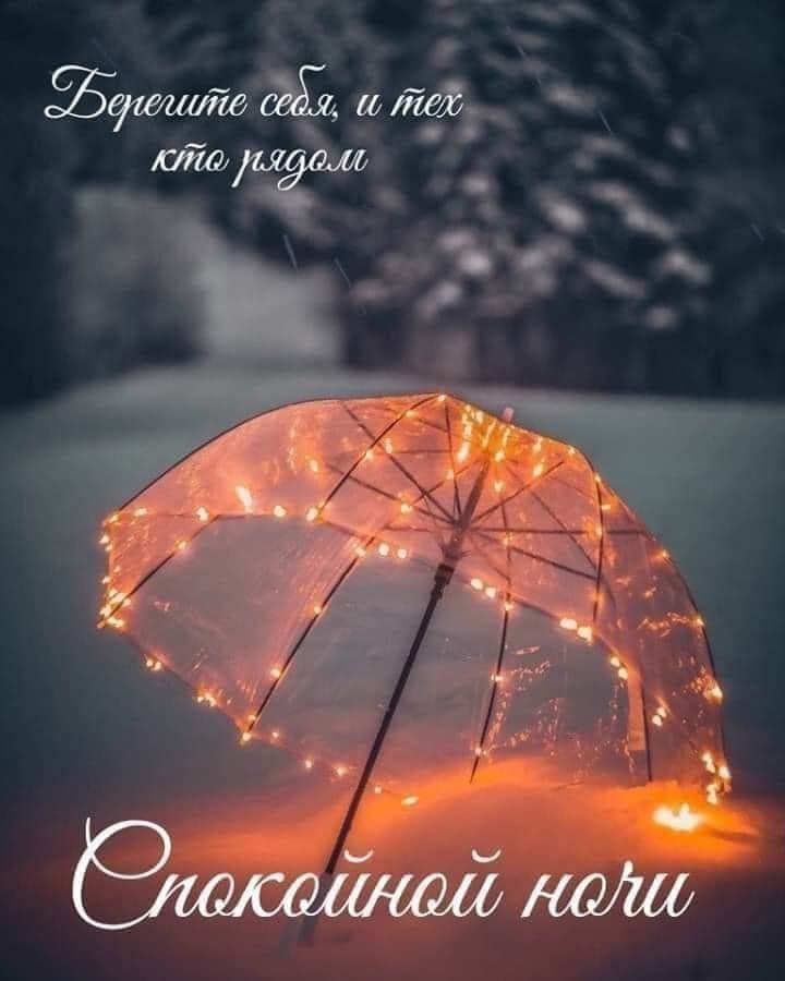   ,    . - 24  2021  21:56 - 8