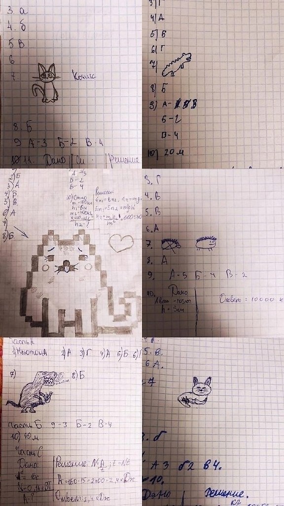  ,     ,        ... - 5