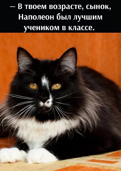       - 19  2022  13:07