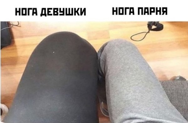   ,    : - 3