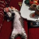 ���� �����, ����, 59 ��� - ��������� 28 �������� 2021 � ������ ������ ��������