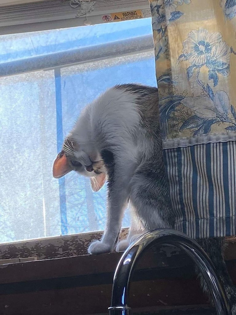  -    ?