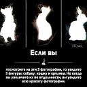  , -, 60  -  24  2021    