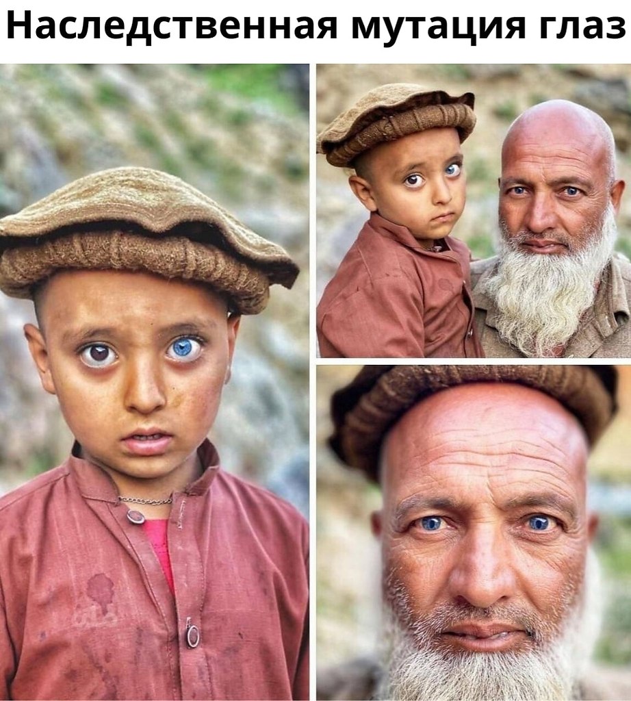 ,  .
