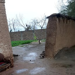 ���� Khan, ������, 33 ���� - ��������� 6 ������ 2022