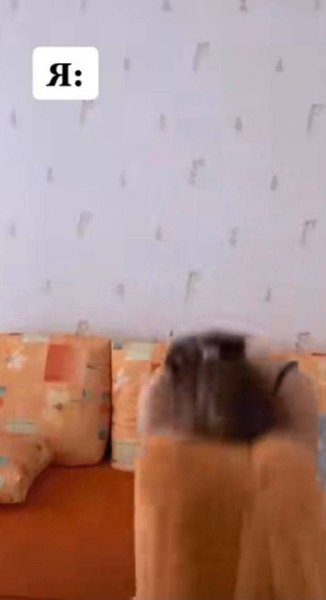 ,    - 2