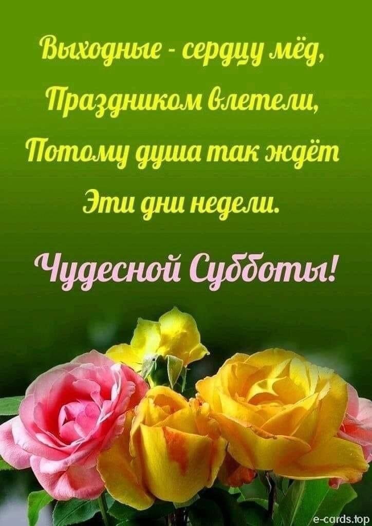   ,    . - 17  2021  14:16 - 7