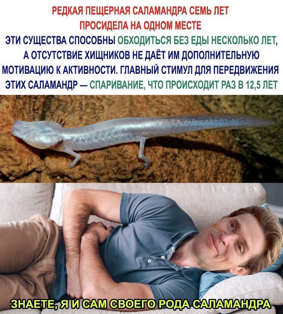 ������� - 4 ������ 2021 � 15:04