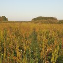 ���� ������, �����������, 52 ���� - ��������� 9 �������� 2021 � ������ ���� ����������