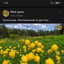 ���� ��� 100 �� �����, �����-��������� - ��������� 30 ���� 2021 � ������ ���� ����������