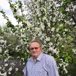 ���� �������, ������, 62 ���� - ��������� 22 ������ 2022