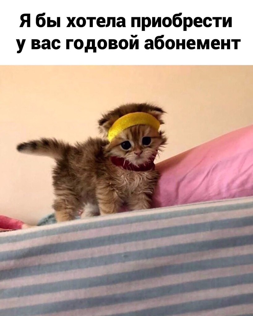   )