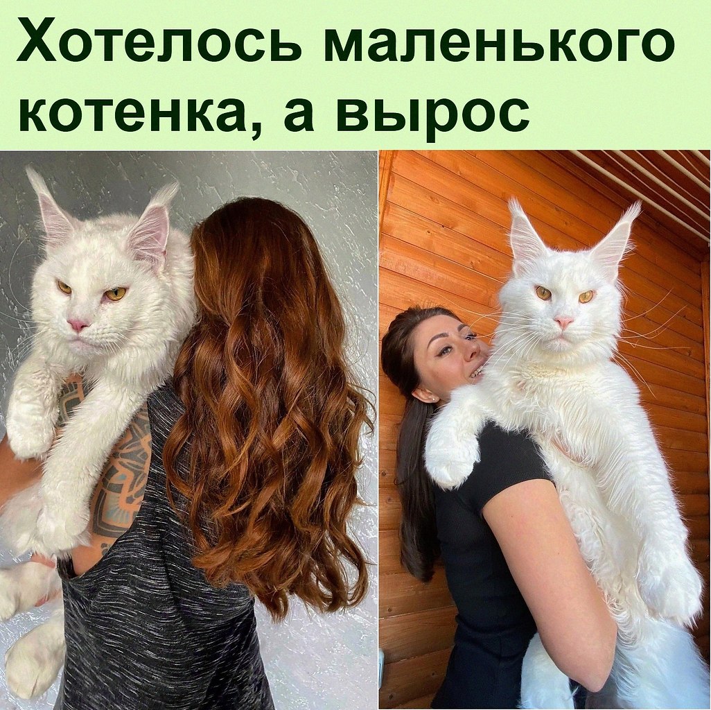������ ��������� :D - 24 ������ 2022 � 08:41
