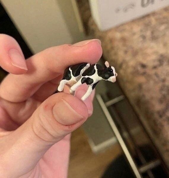  ?   !