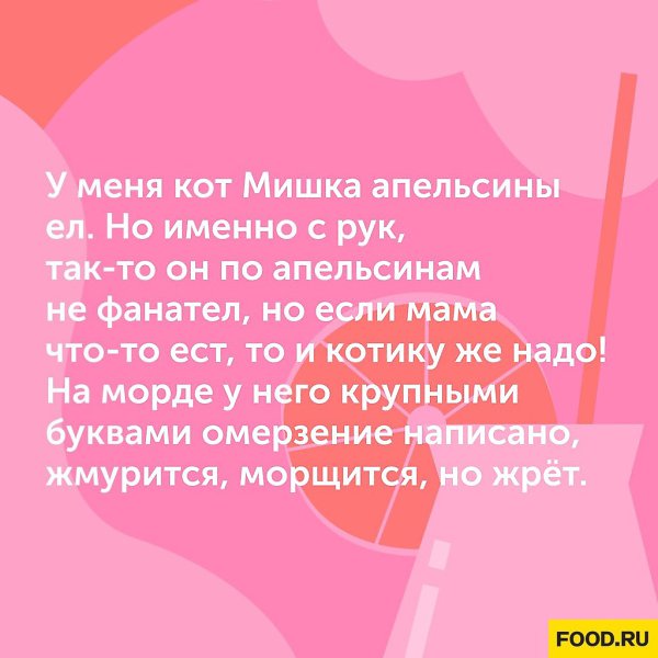 Типичный кот У кого такой же? .#юмор@foodrumedia