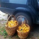 ���� �����, �����-���������, 63 ���� - ��������� 5 ���� 2021 � ������ ������ ��������