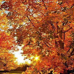 ���� Anar, ����, 46 ��� - ��������� 9 ������� 2021