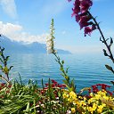  , , 68  -  17  2021   Montreux