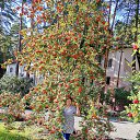 ���� ������, �����-��������, 62 ���� - ��������� 25 ������� 2021 � ������ ���� ����������