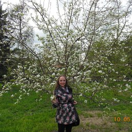 �����, ������, 42 ����