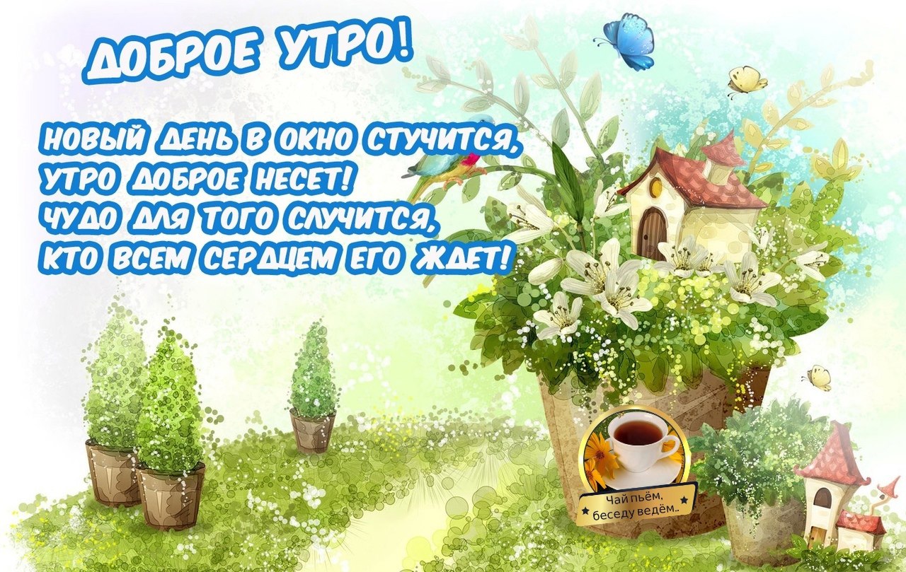   ,    . - 23  2021  10:18 - 9