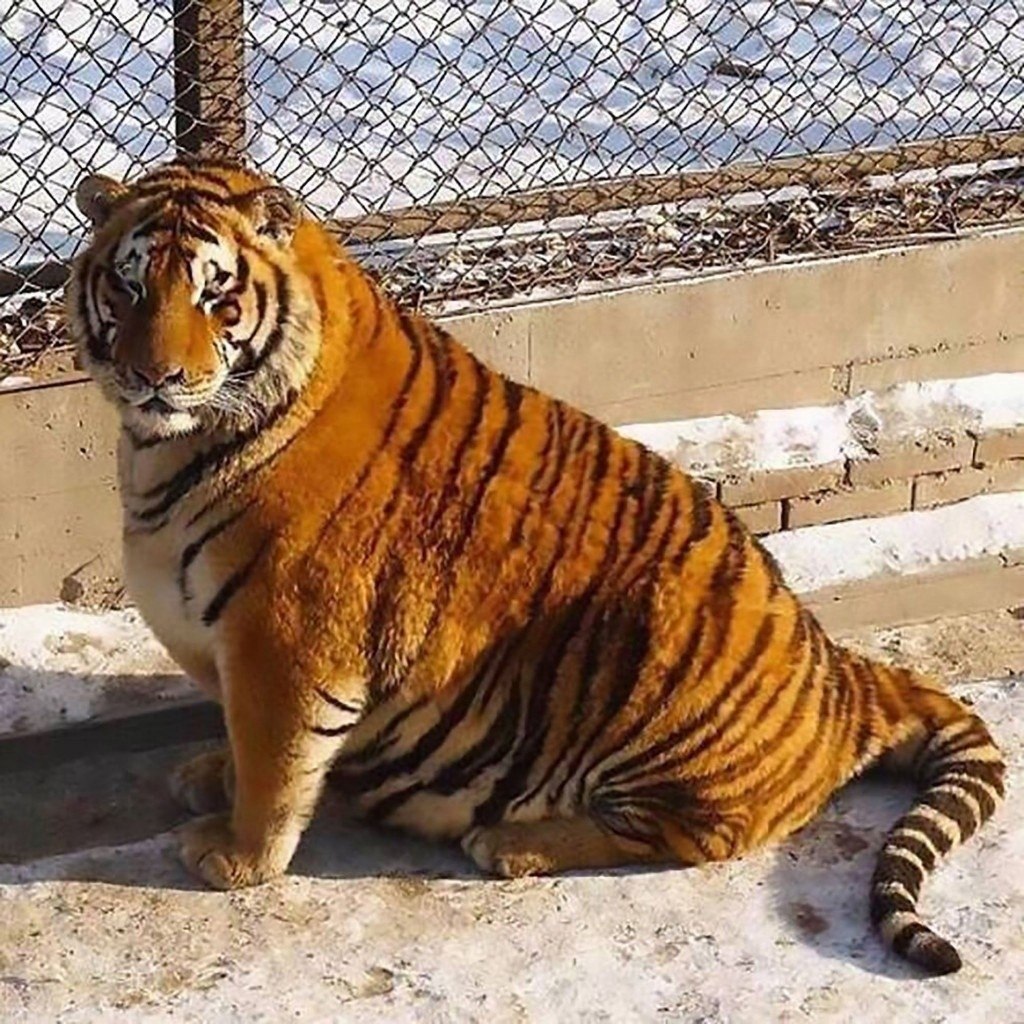     - :  - 3