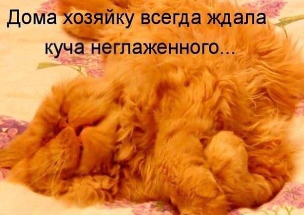    - 22  2021  16:41