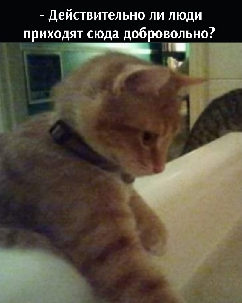       - 6  2021  16:12