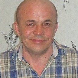 ���������, ���������, 94 ����