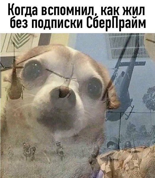 ,       ?