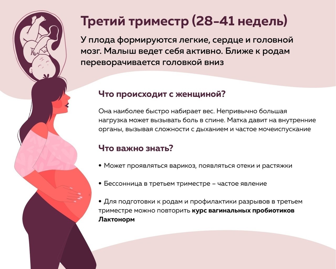 Первый триместр года. Внимание беременность. Беременность – ответственный период в жизни женщины.