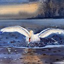 � � ����� ��� ��� ��������! ������ ����������� ��������� �� ������ ������ Elena Palmroos �� ������� ����������, �����...�