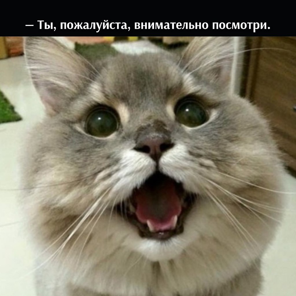      - 13  2021  16:17 - 4