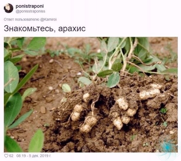     ! - 4