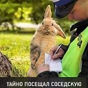  ,  -  27  2021    