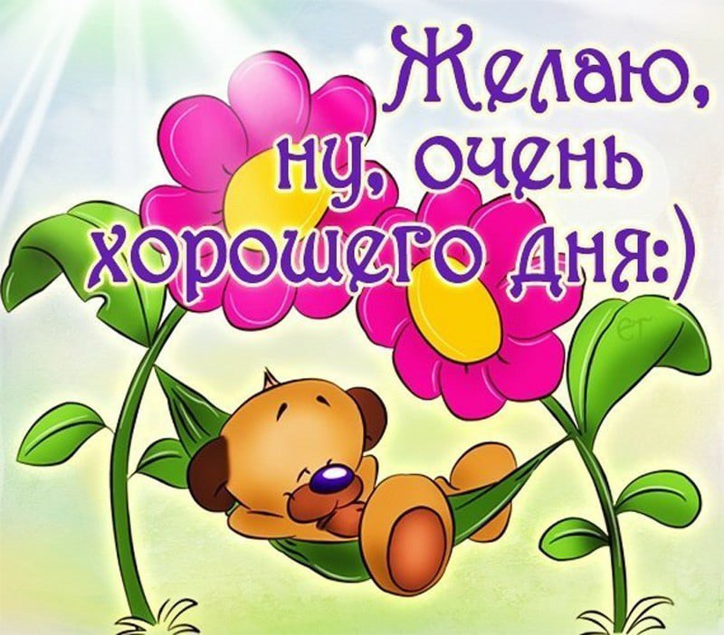   ,    . - 23  2021  11:52 - 6