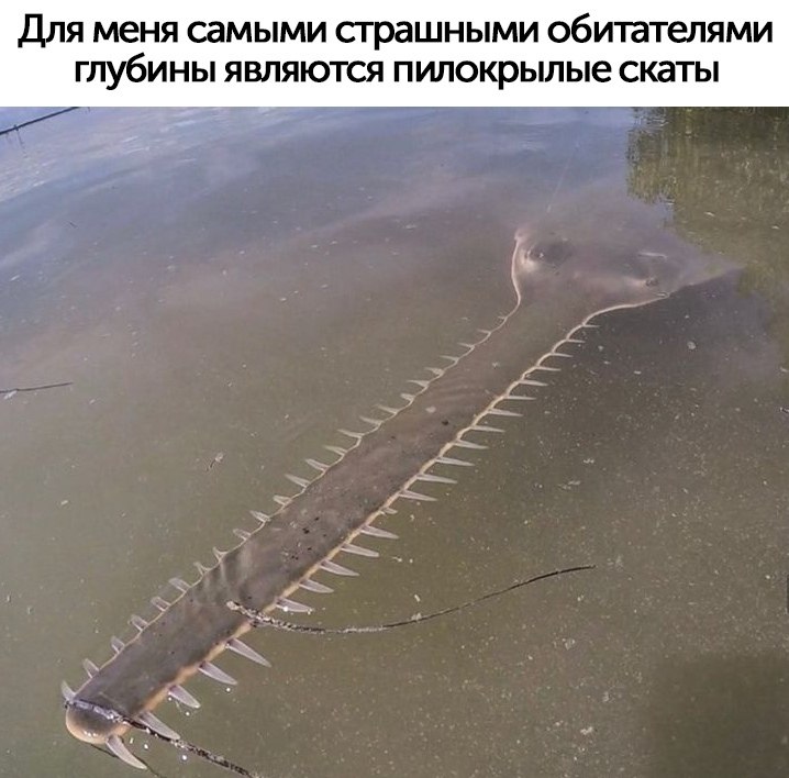  |  |   5 - 30  2021  15:29