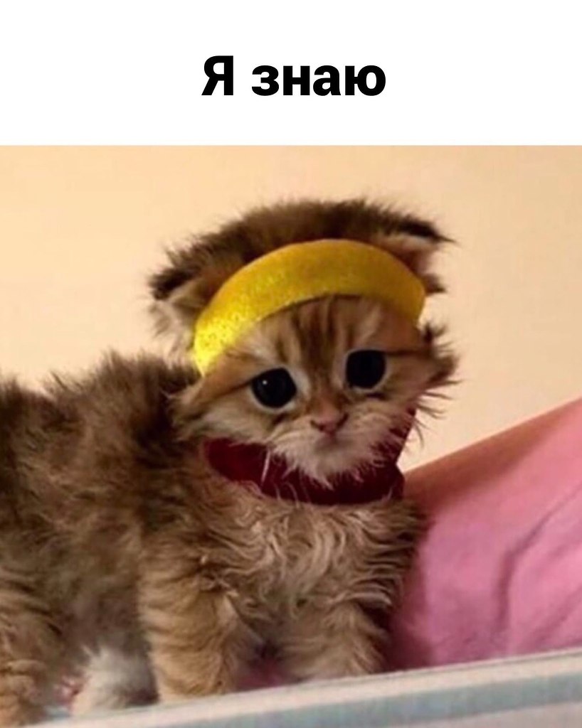   ) - 4