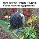 ���� �����, �����������, 58 ��� - ��������� 26 ����� 2021 � ������ ������ ��������