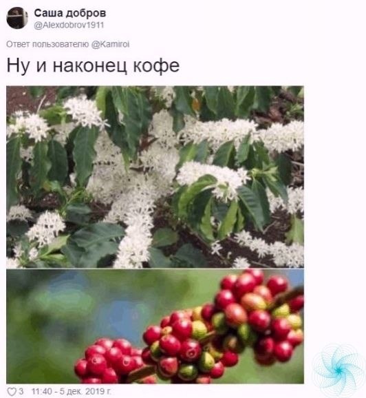     ! - 7