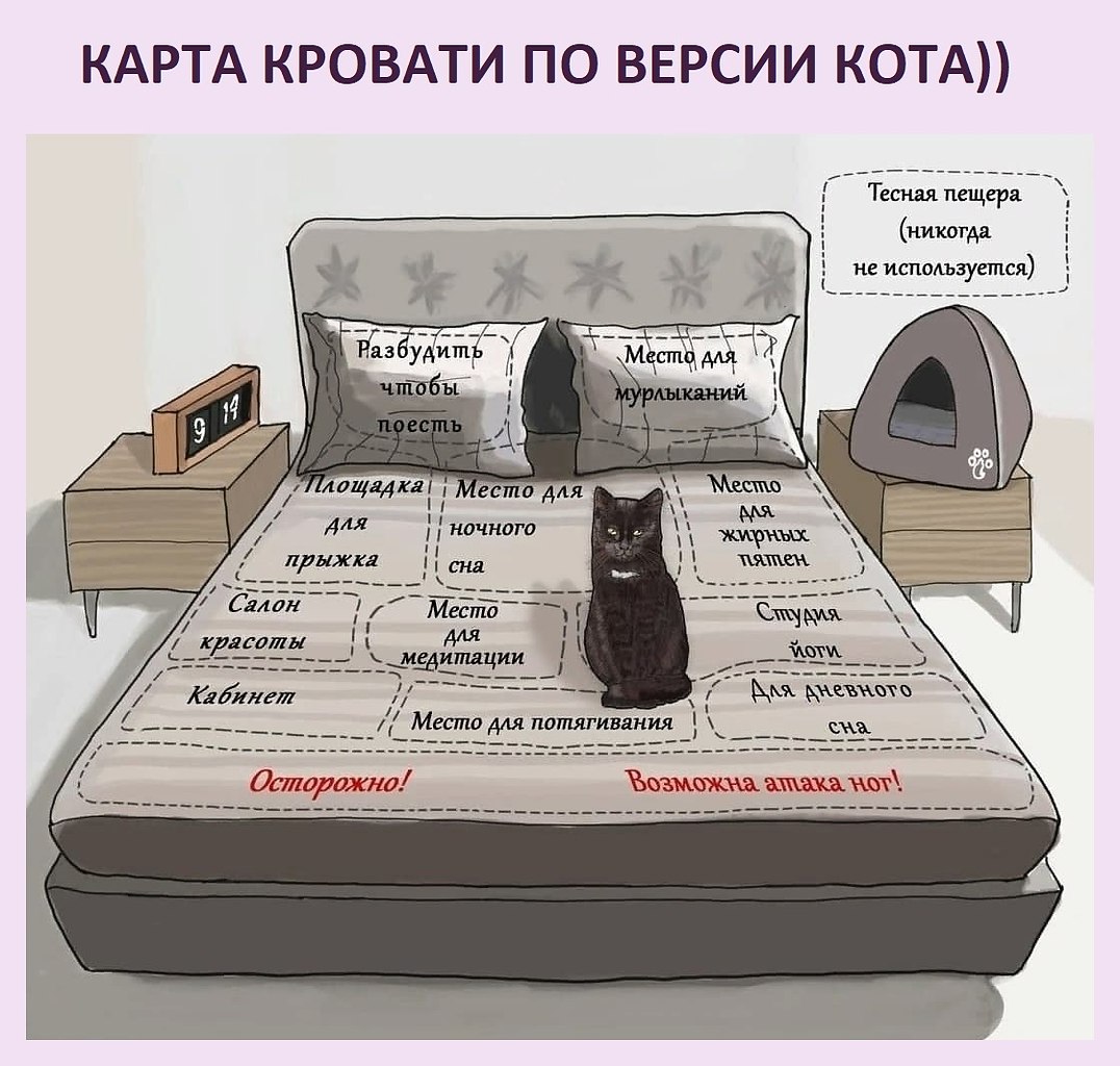  ,        ))