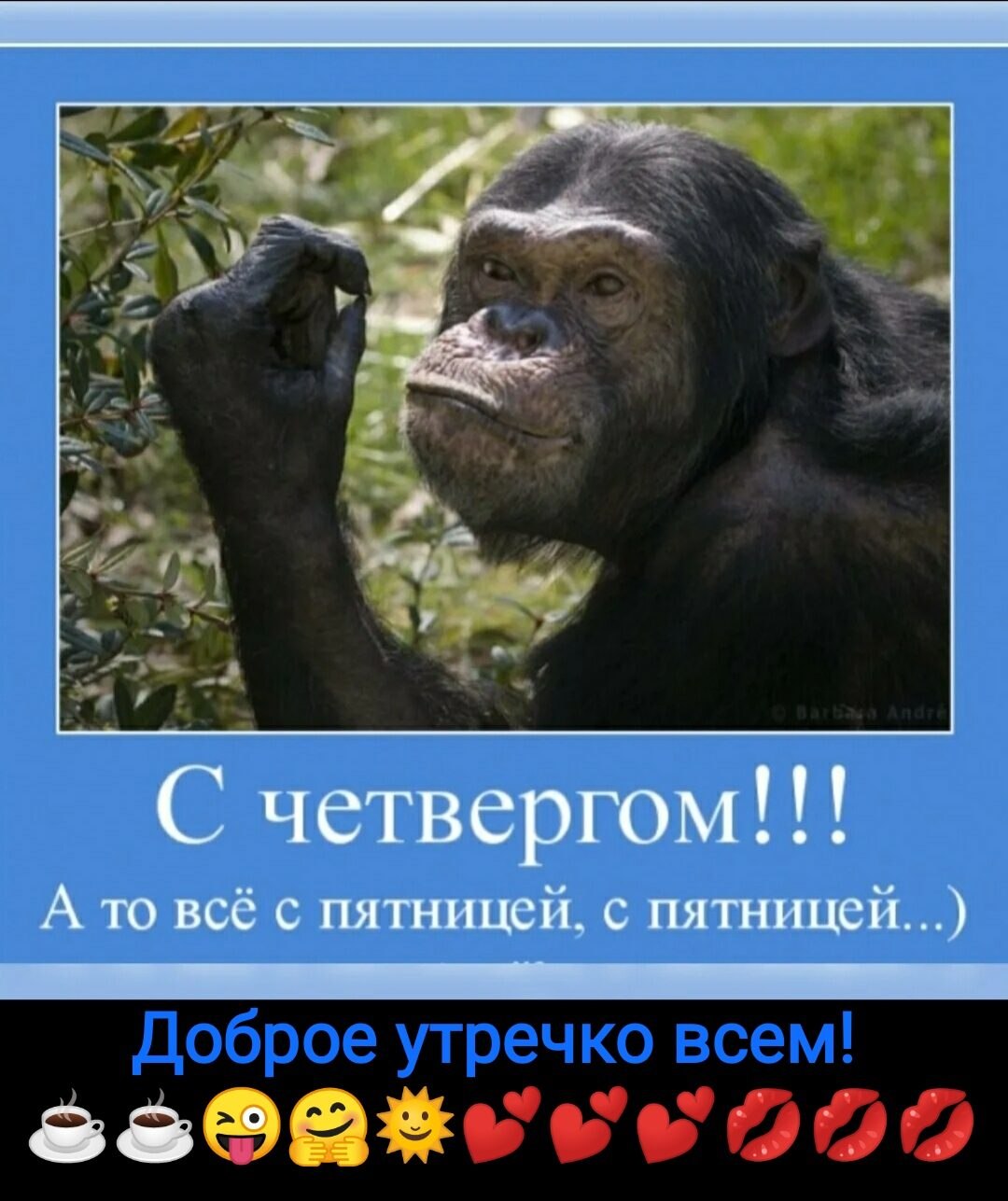 ***Victoria Viktorovna*** - 8  2021  04:44