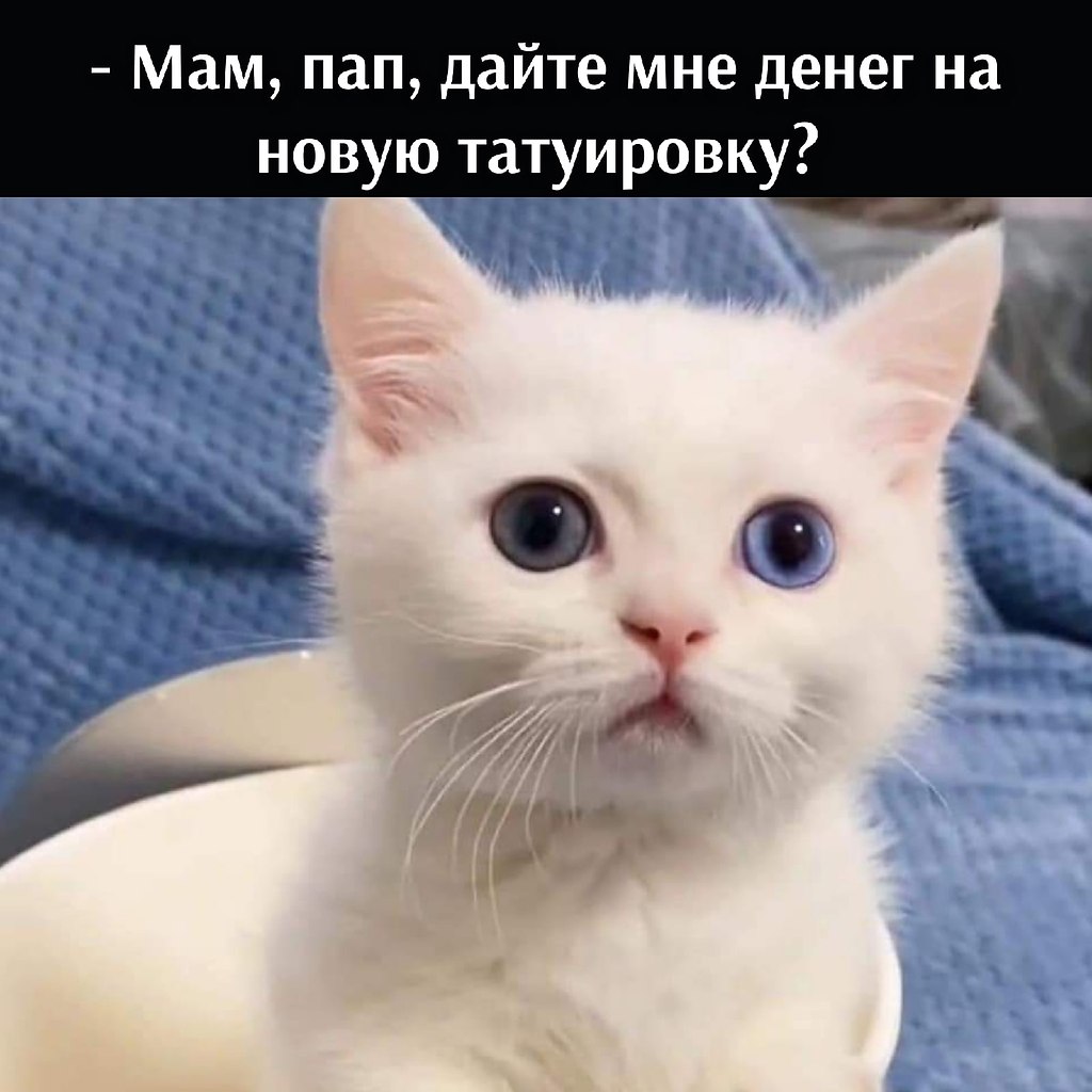       - 31  2021  10:23
