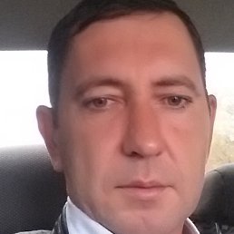 ����, �������, 43 ����