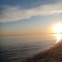  ,  , 50  -  16  2021    