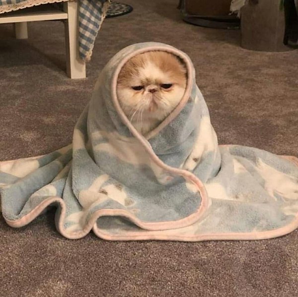    :