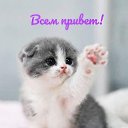���� �������, ������ - ��������� 20 ������� 2021 � ������ ���� ����������