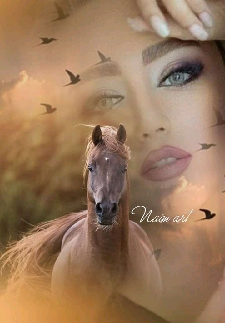 Sergey - 19  2021  13:09