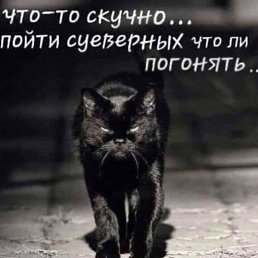  ,  -  13  2021