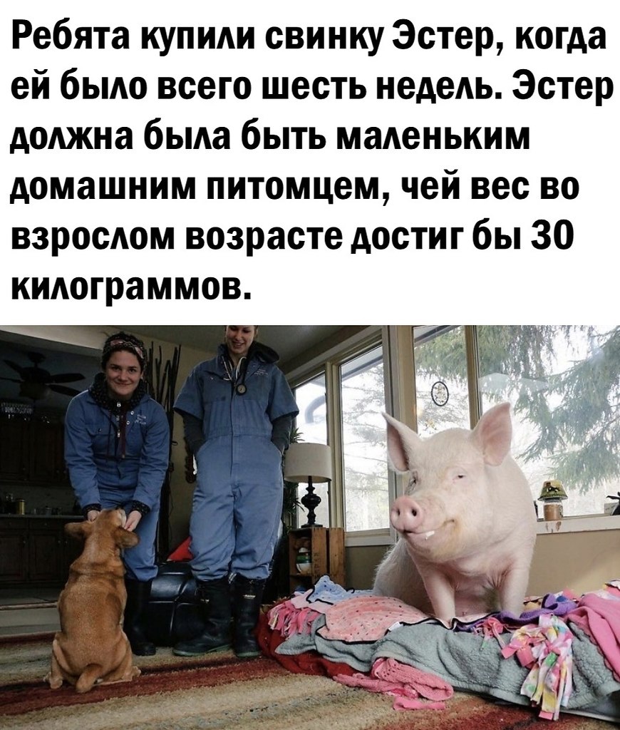    - 2